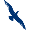 Cape Air logotype