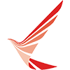 Ruili Airlines logotype