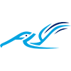 FlyPelican logotype