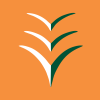 Ibom Air logotype