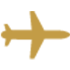 FlexFlight logotype